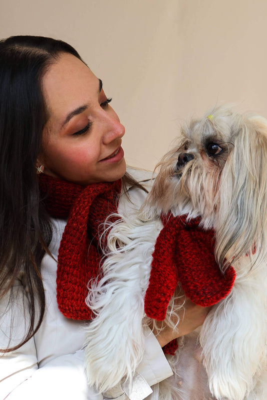 Bufanda roja match con tu mascota